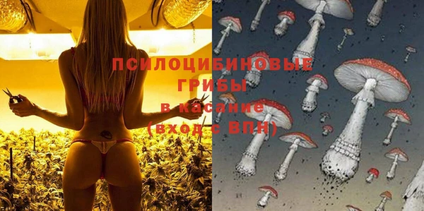 прущий лед Алексин