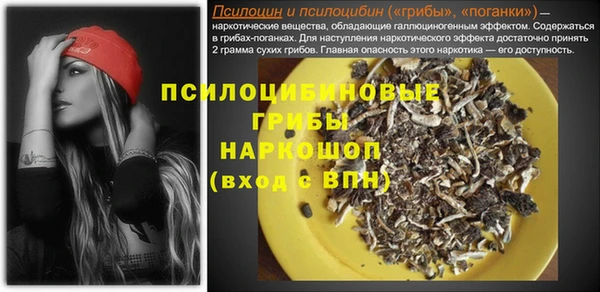 винт Алексеевка