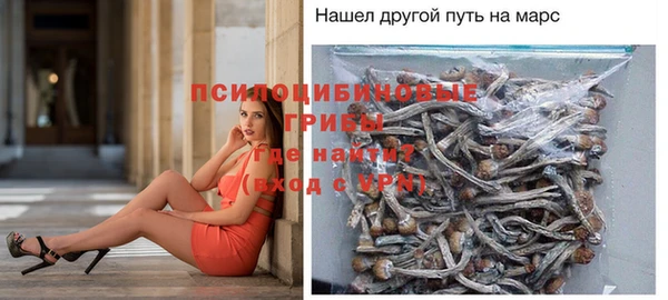прущий лед Алексин