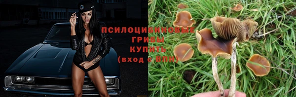 прущий лед Алексин